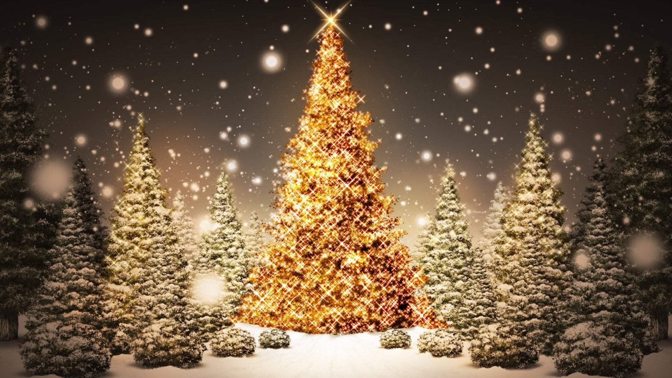 Christmas Trophies & Medals
