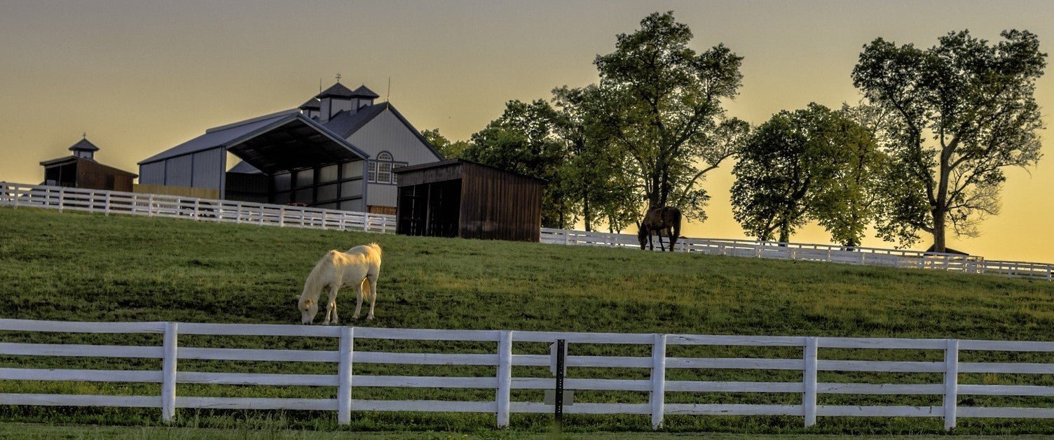 Farm Animals