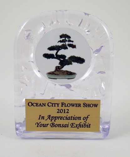 Bonsai Logo Ice Acrylic Trophy - Schoppy's Since 1921