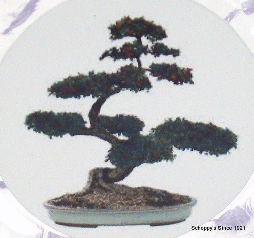Bonsai Logo Ice Acrylic Trophy - Schoppy's Since 1921