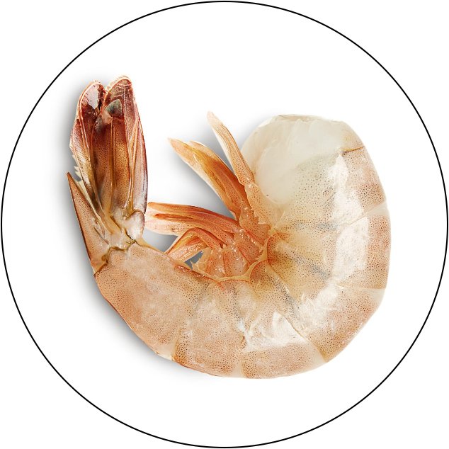 Shrimp Trophy - Schoppy's Since 1921