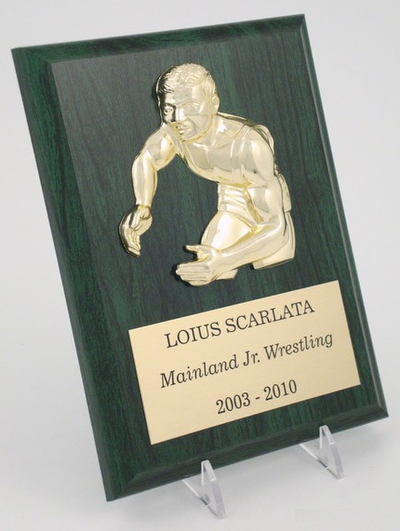 Color Wrestling Plaque - 6 x 8 Avail. in Green, Blue, Brown-Plaque-Schoppy's Since 1921
