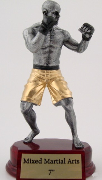 Mixed Martial Arts Trophy - Small-Trophies-Schoppy's Since 1921