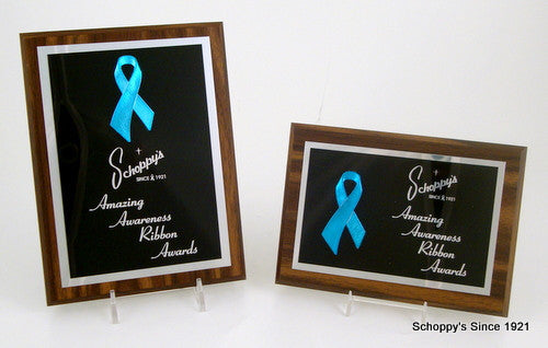Awareness Ribbon Plaque 5" x 7"-Trophies-Schoppy&