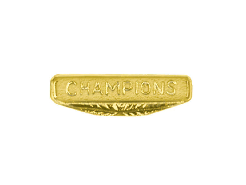Champions Chenille Pin-Pin-Schoppy&