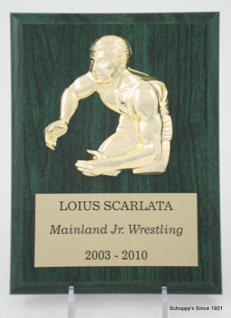 Color Wrestling Plaque - 6 x 8 Avail. in Green, Blue, Brown-Plaque-Schoppy&