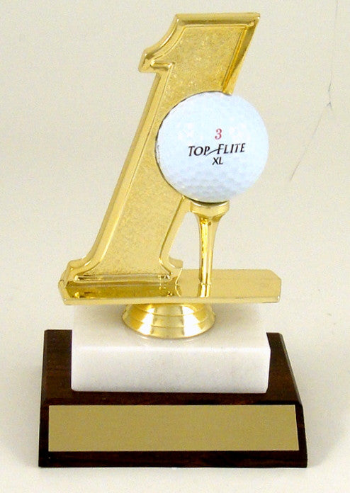 Hole In One Golf Trophy-Plaque-Schoppy&