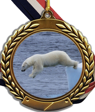 Polar Bear Plunge Logo Medal-Medals-Schoppy's Since 1921