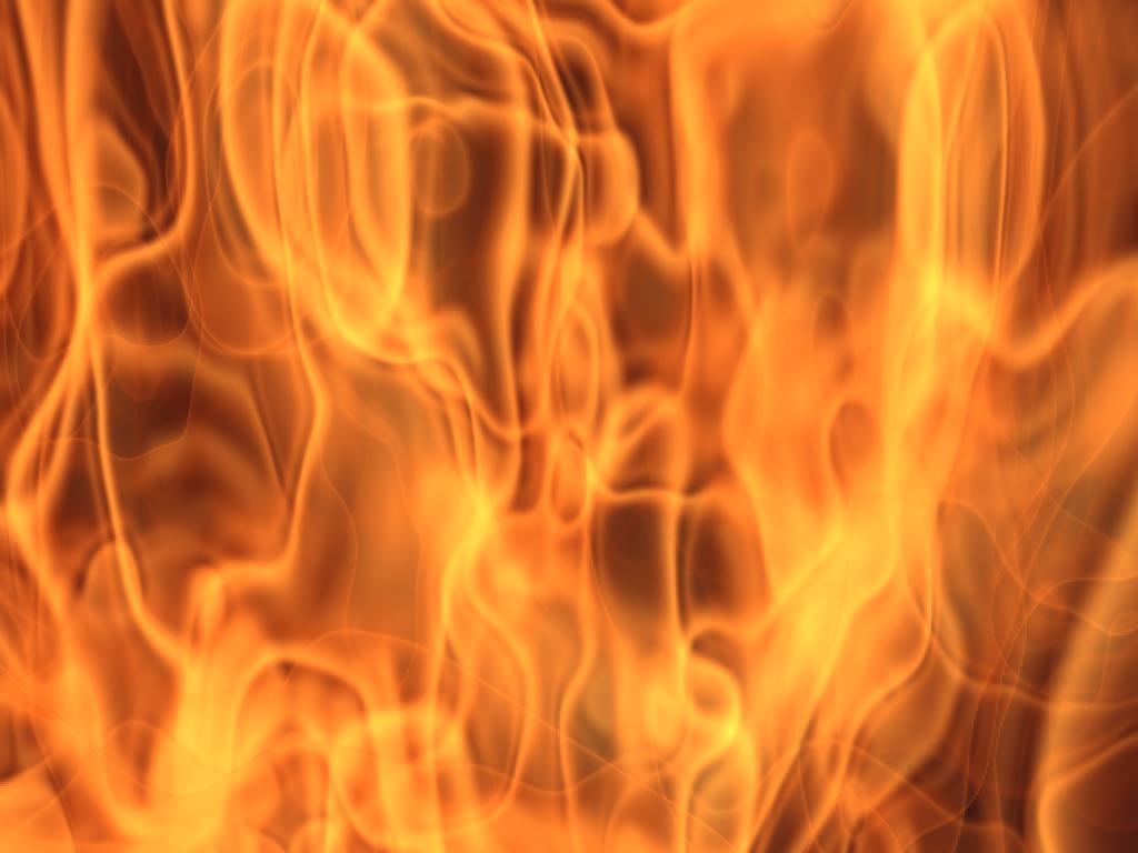 Meatball Trophies - Schoppy's Since 1921