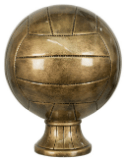 Volleyball Perpetual Trophy