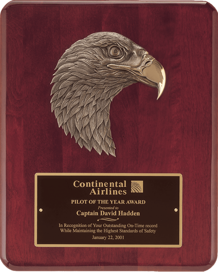 American Eagle Casting on Piano Finish Plaque - Schoppy's Since 1921