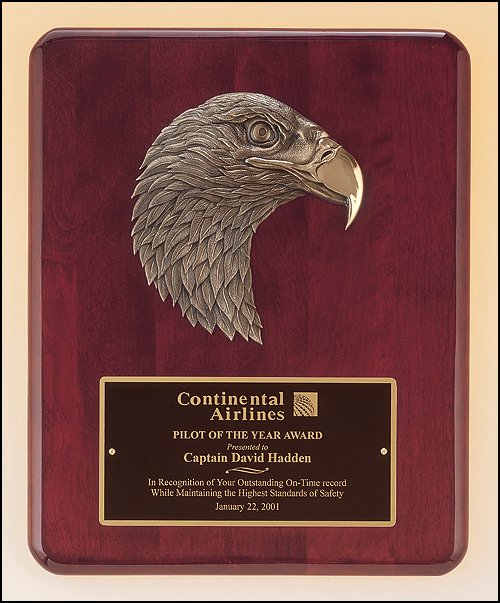 American Eagle Casting on Piano Finish Plaque - Schoppy's Since 1921