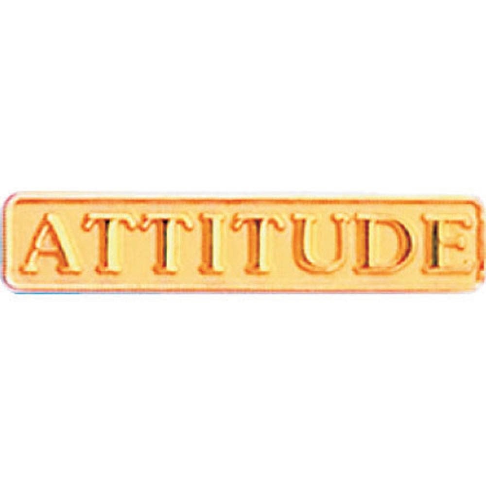 Attitude Lapel Pin - Schoppy's Since 1921