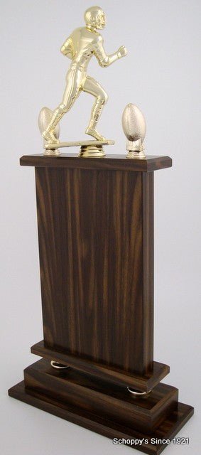  Back of large Football Perpetual Trophy by Schoppy&