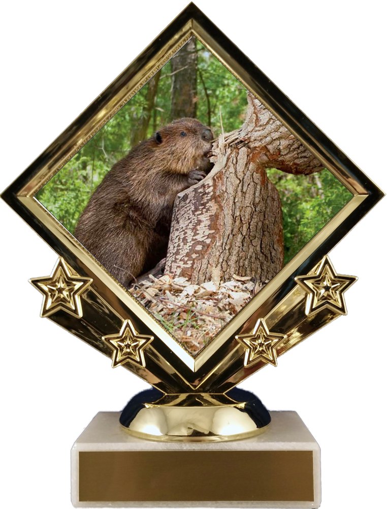 Beaver Logo Diamond Trophy - Schoppy's Since 1921