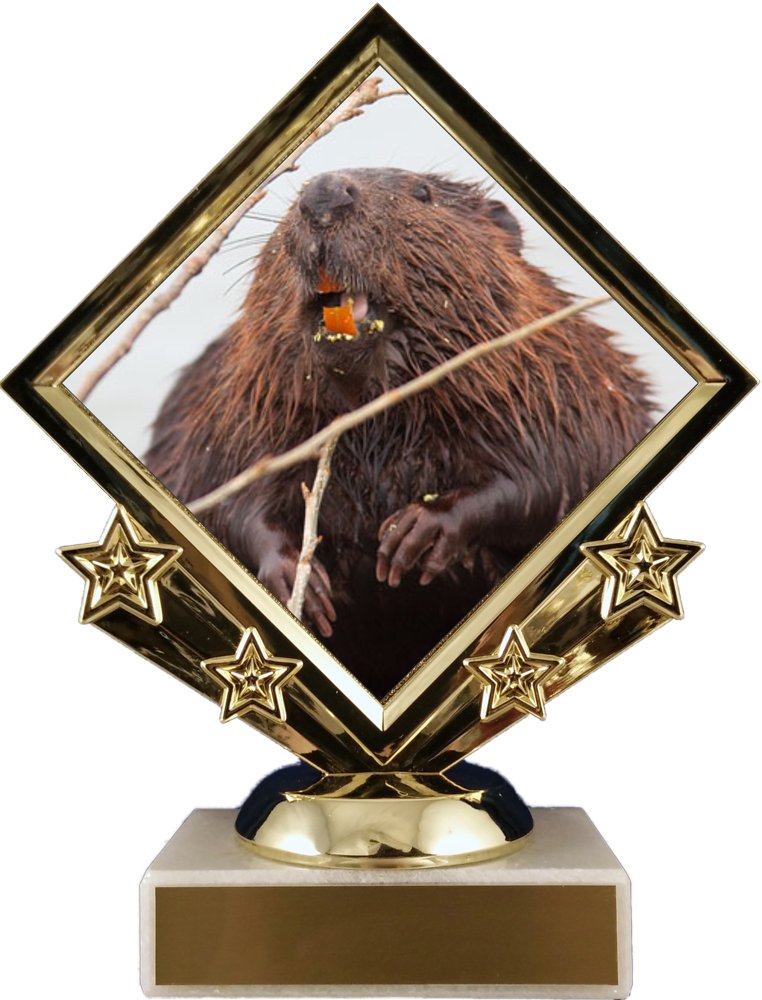 Beaver Logo Diamond Trophy - Schoppy's Since 1921