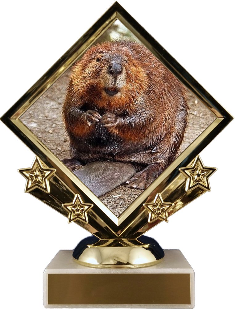 Beaver Logo Diamond Trophy - Schoppy's Since 1921