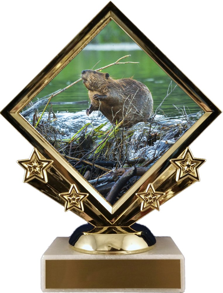 Beaver Logo Diamond Trophy - Schoppy's Since 1921