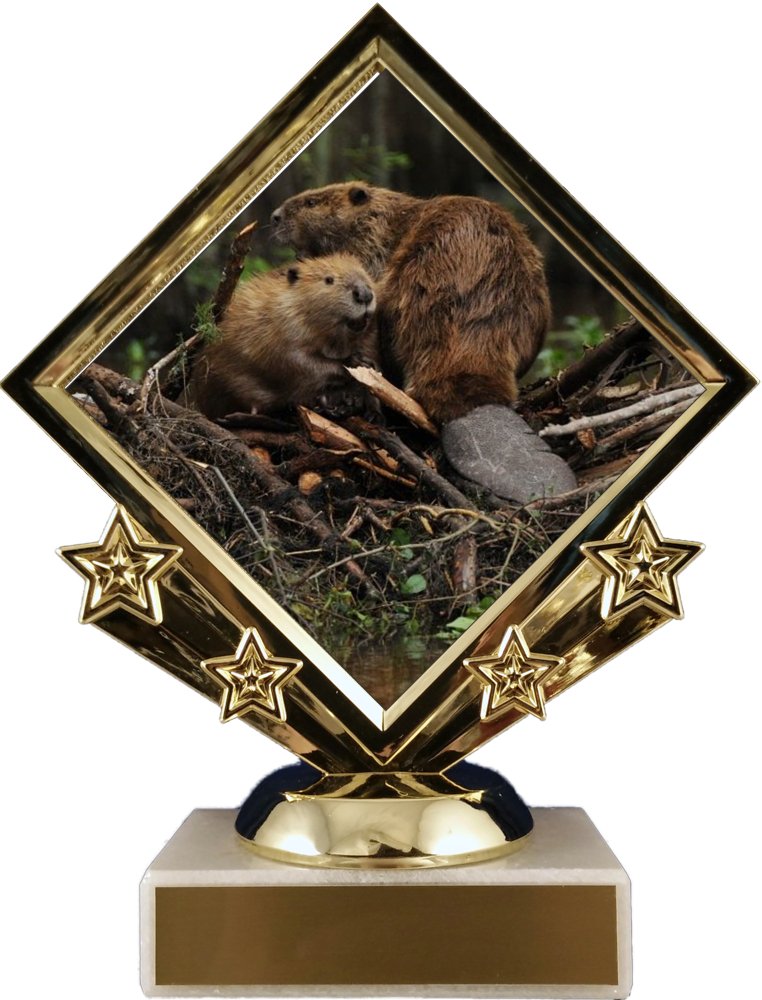 Beaver Logo Diamond Trophy - Schoppy's Since 1921