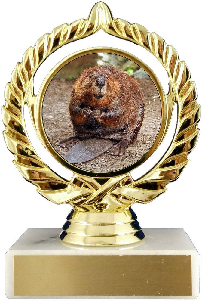 Beaver Trophy - Schoppy's Since 1921