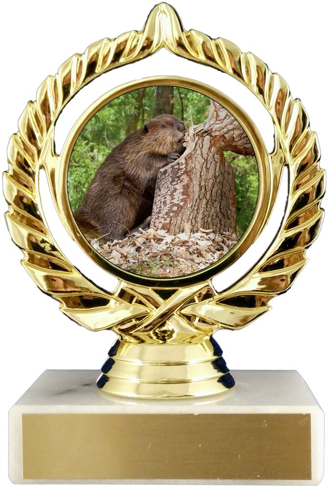 Beaver Trophy - Schoppy's Since 1921