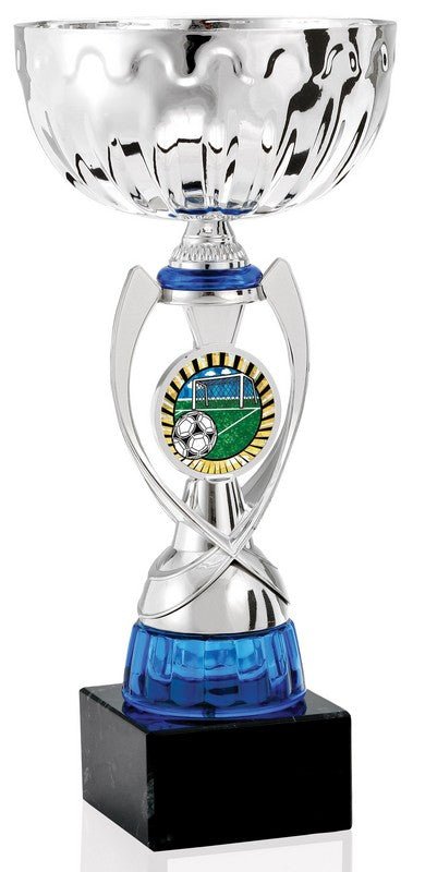 Blue and Silver Logo Cup - Schoppy&