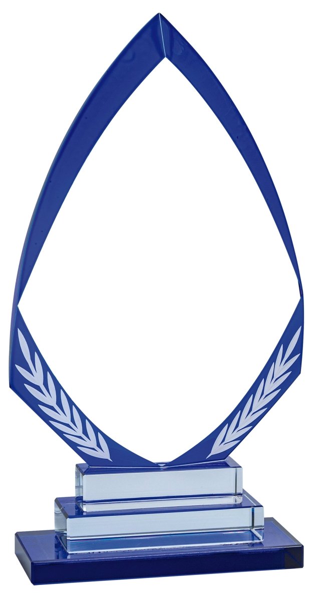Blue Crystal Arrow Award - Schoppy's Since 1921