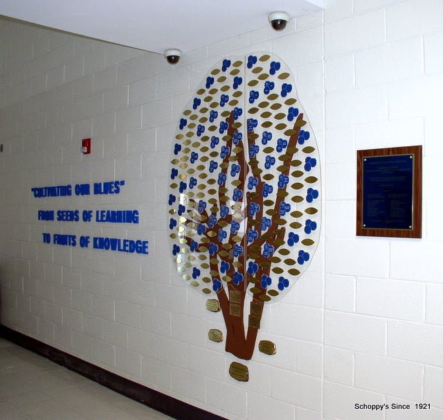 Blueberry Bush Donor Wall - Schoppy's Since 1921