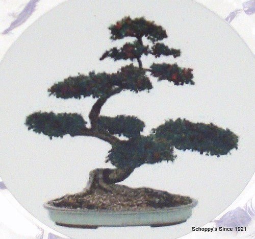 Bonsai Logo on Lg. Ice Acrylic-Trophies-Schoppy's Since 1921