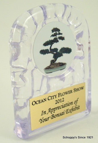 Bonsai Logo Ice Acrylic Trophy - Schoppy's Since 1921