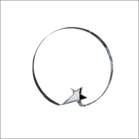 Circle with Silver Star - Schoppy's Since 1921