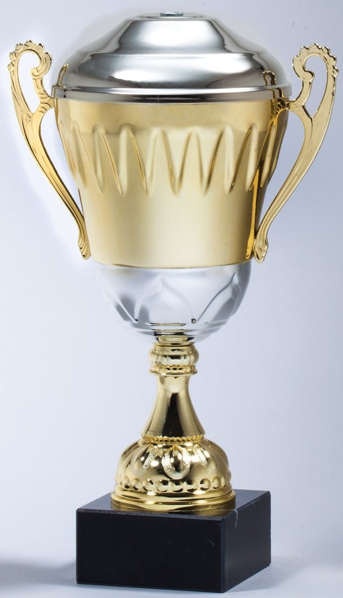 Classic Metal Gold Cup With Triangle Pattern - Schoppy's Since 1921