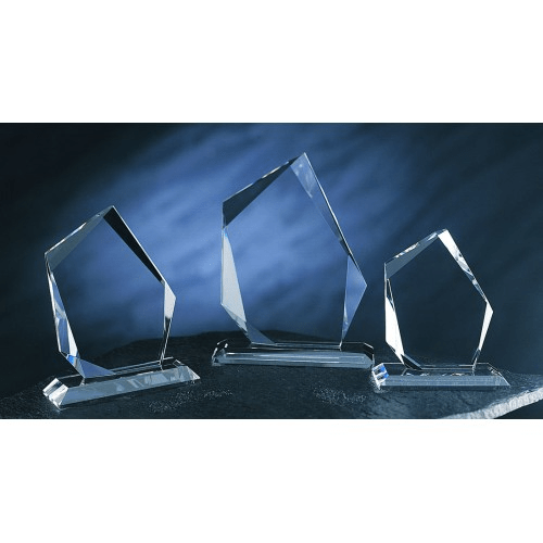 Crystal Elite Award - Schoppy's Since 1921