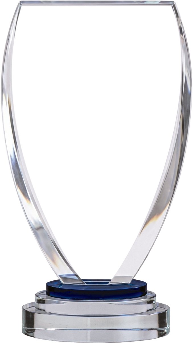 Crystal Paddle Award on Clear Base - Schoppy&