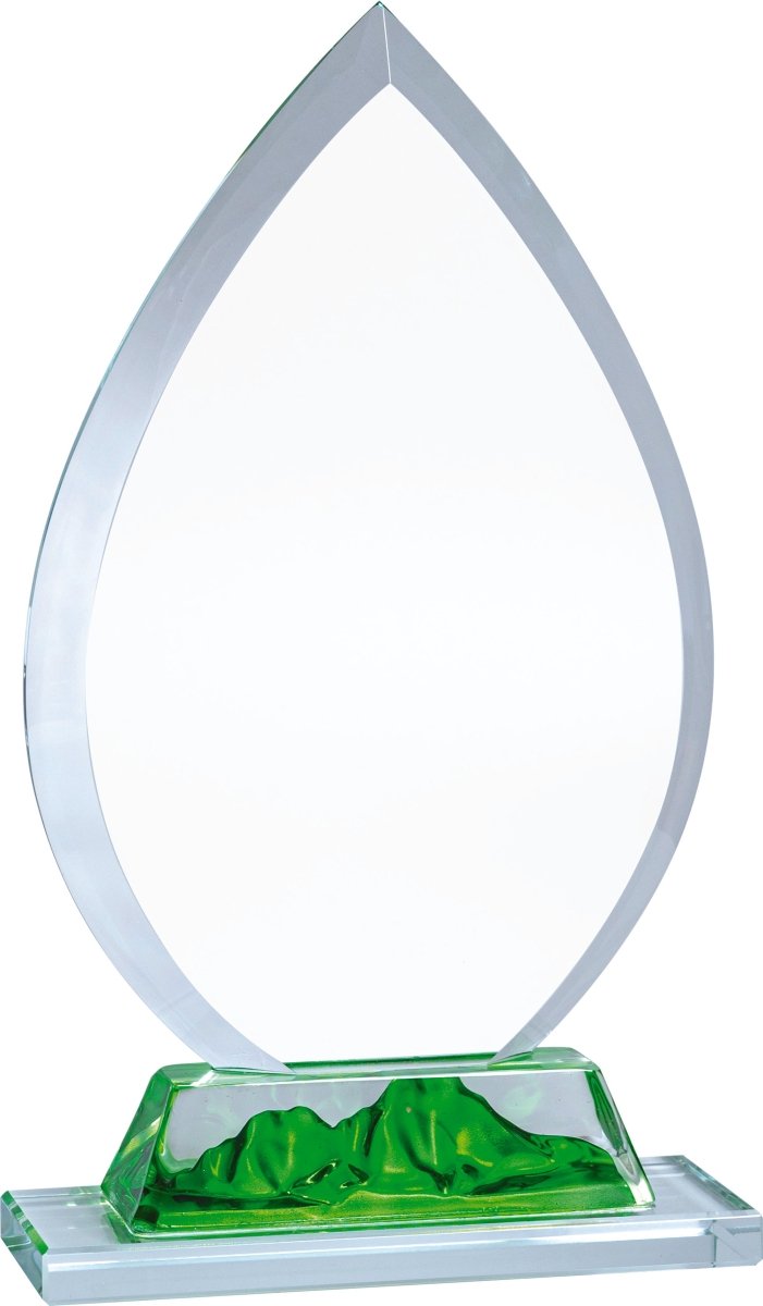 Crystal Peak Award - Schoppy&