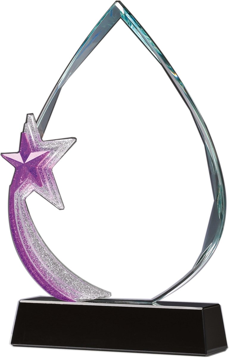 Crystal Purple Star Award - Schoppy&