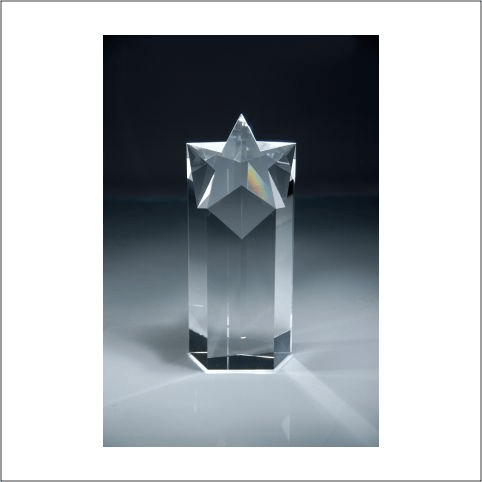 Crystal Star Tower Award - Schoppy's Since 1921
