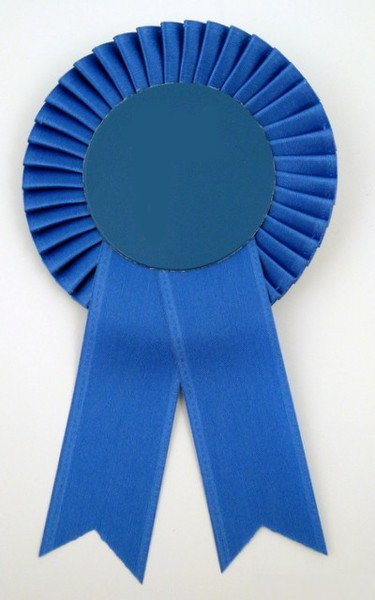 Custom Small Rosette Ribbons - ADD your logo or any Image to Center of Rosette - Schoppy's Since 1921