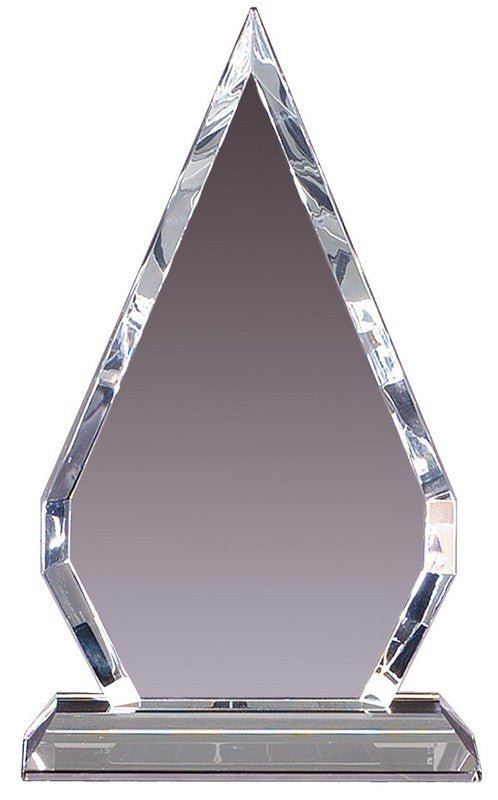 Diamond Crystal Award - Schoppy's Since 1921