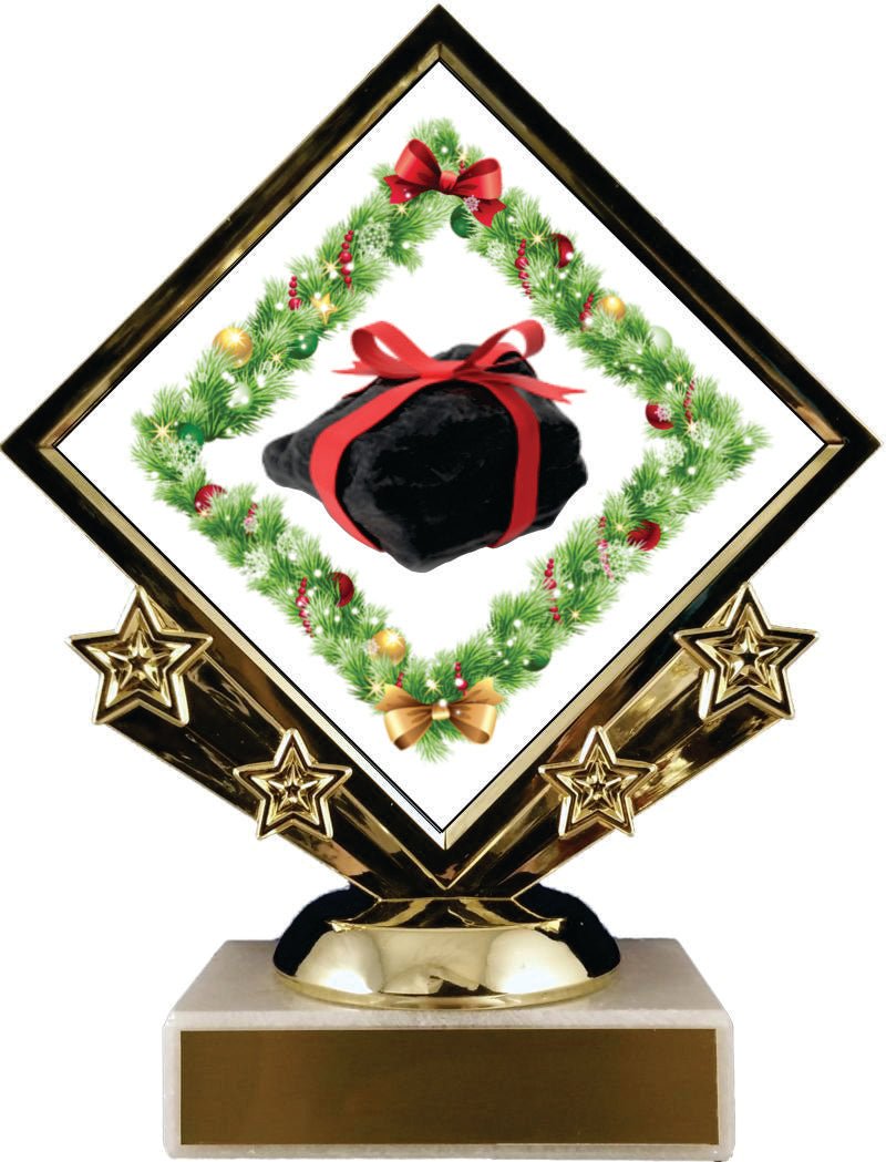 Diamond Star Lump of Coal Logo Trophy - Schoppy's Since 1921