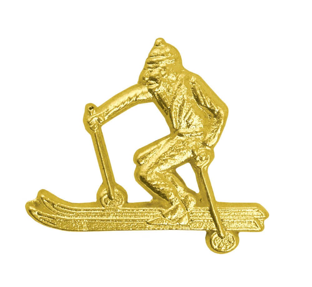 Downhill Skiing Chenille Pin - Schoppy's Since 1921