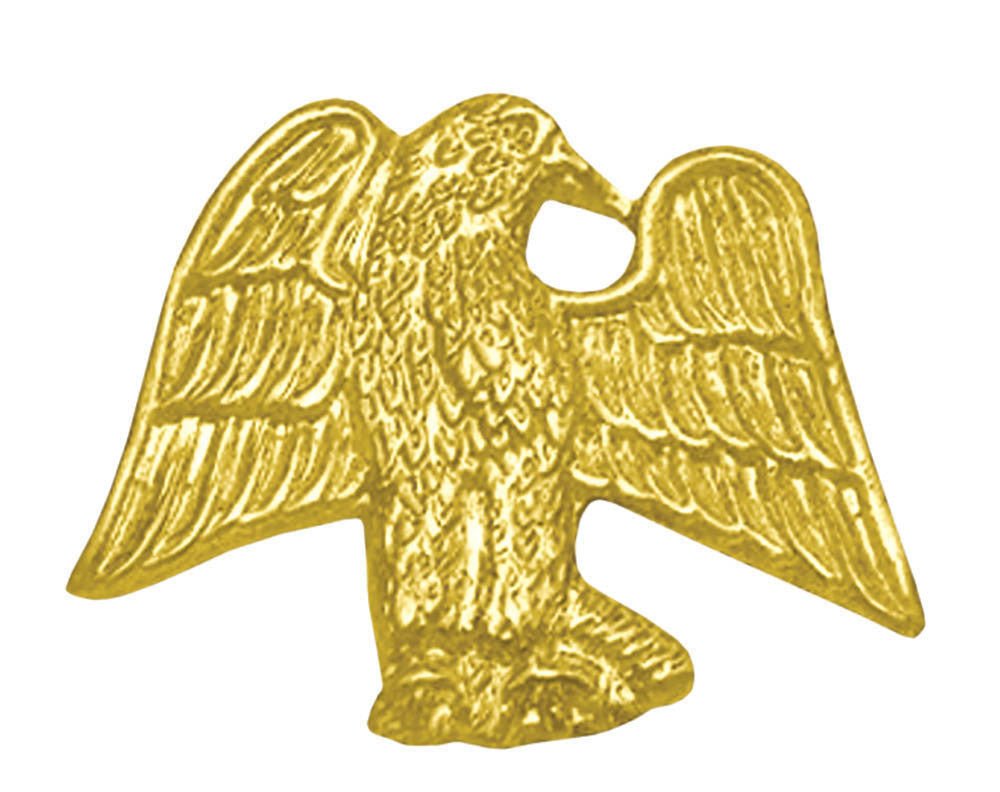 Eagle Chenille Pin - Schoppy's Since 1921