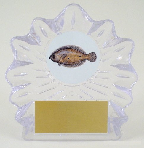 Fish Logo on Large Shell Acrylic Trophy-Trophies-Schoppy's Since 1921