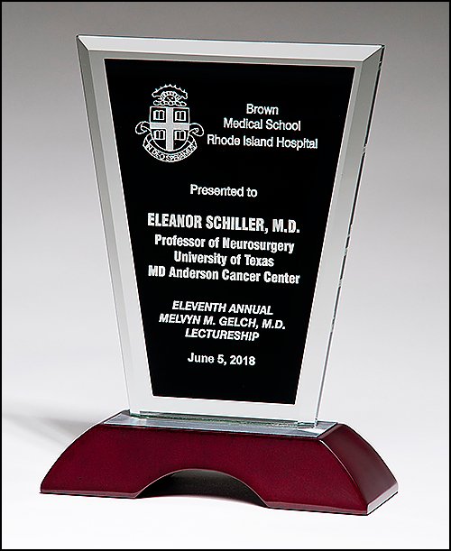 Glass Award with Black Silk Screened Center - Schoppy's Since 1921