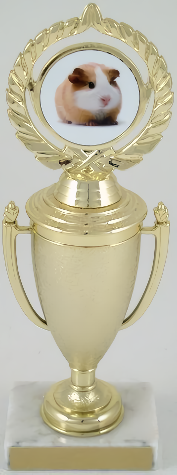 Guinea Pig Cup Trophy