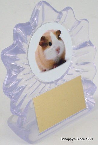 Guinea Pig Flame Acrylic Trophy - Schoppy's Since 1921