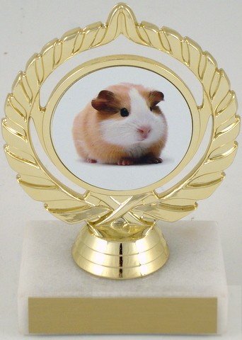 Guinea Pig Trophy-Trophies-Schoppy's Since 1921