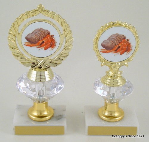 Hermit Crab Trophy - Schoppy's Since 1921