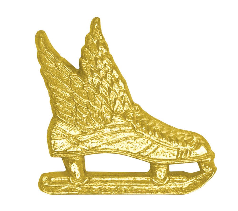 Ice Skate Chenille Pin - Schoppy's Since 1921