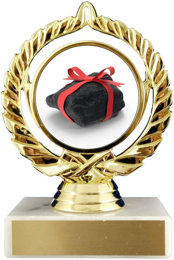 Lump of Coal Logo Trophy - Schoppy's Since 1921